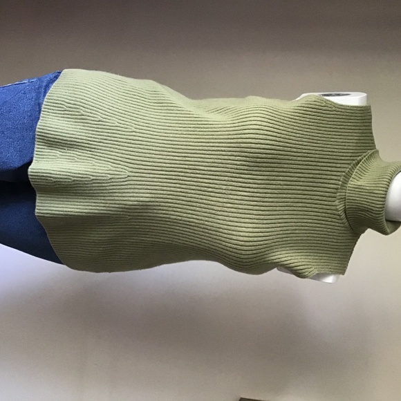 Rena Rowan %100 Merino Wool sleeveless sweater - Picture 8 of 12